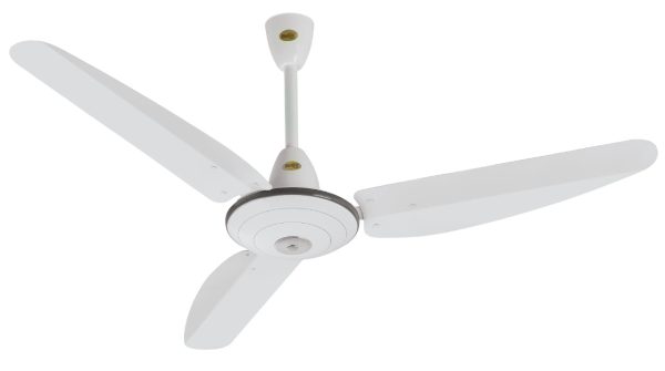High Deluxe model 56”